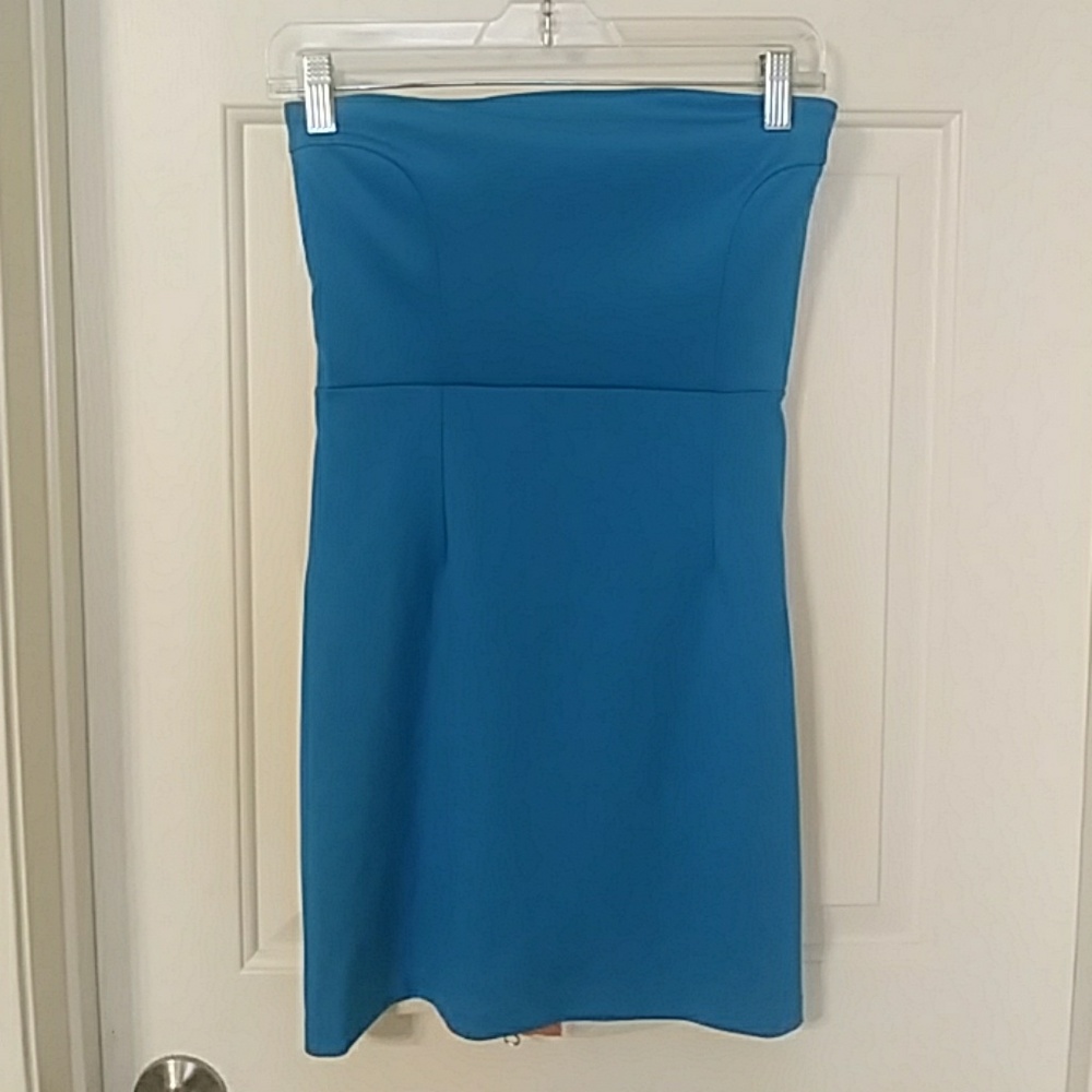 Zara Strapless Dress
